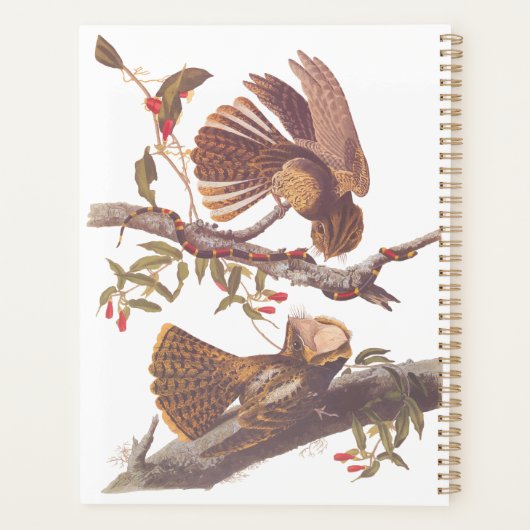 Le cauchemar de la veuve de Chuck Will avec serpen (Dos)