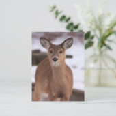 Le cerf dans la carte postale de neige (Debout devant)