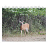 Le cerf dans le calendrier photographique sauvage (Protection)