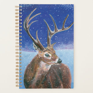 Le Cerf rouge (Cervus elaphus) en hiver