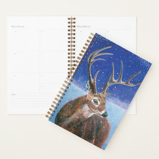 Le Cerf rouge (Cervus elaphus) en hiver (Devant avec enveloppe)