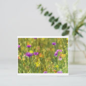 Le champ fleurit la carte postale (Debout devant)