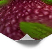 Le champignon rouge | AI Art Poster (Coin)