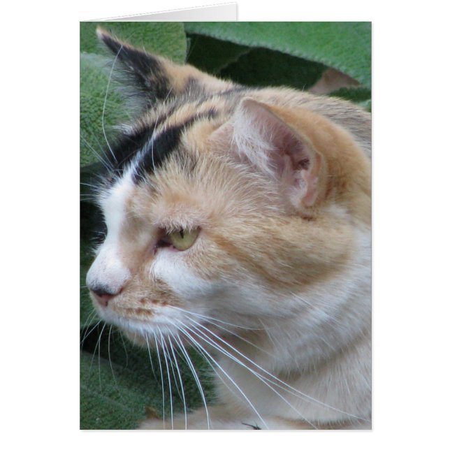 Le chasseur (Devant)