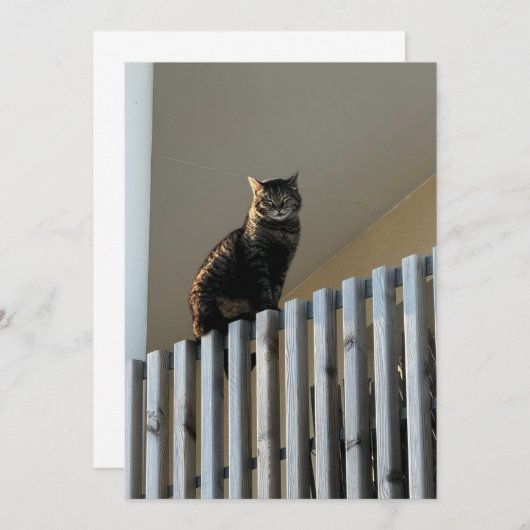 Le Chat (Voorkant / Achterkant)