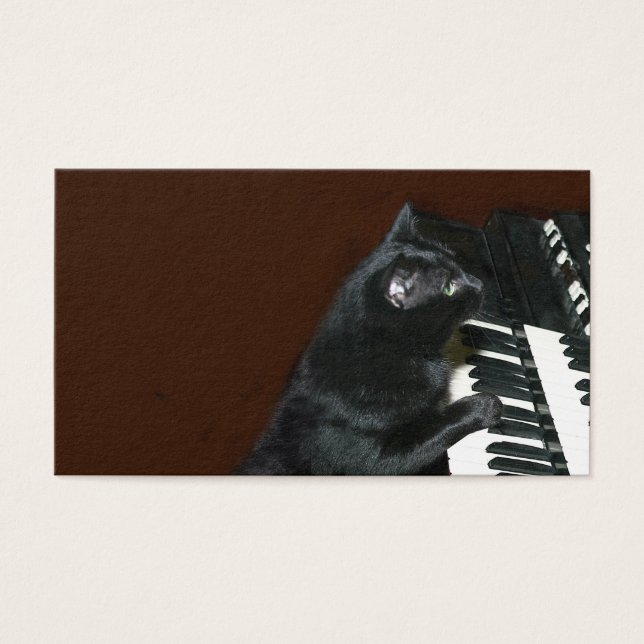 Le chat chaton noir joue de l'orgue (Devant)