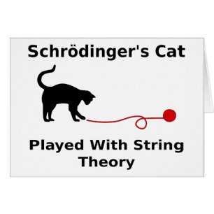 Le chat de Schrödinger joué avec la théorie de