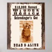 Le chat de Schrodinger voulait une affiche (Devant)