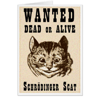 Le chat de Shrodinger voulait une affiche