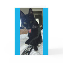 le chat drôle de carte de remerciements cache le