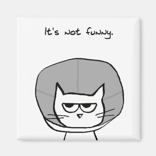 Le chat et le cône de la honte - Magnet de chats a (Devant)