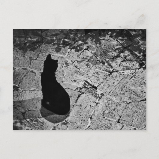 Le Chat Noir Briefkaart (Voorkant)
