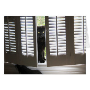 Le chat noir dans la fenêtre Shutters, les notes