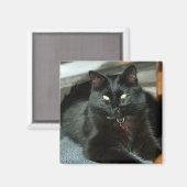Le Chat Noir Jouit Du Soleil Magnet (Recto/Verso)