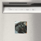 Le Chat Noir Jouit Du Soleil Magnet (In Situ (Lave-vaisselle))