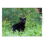 Le chat noir se sentant seul sans vous cardent (Devant horizontal)