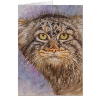 Le chat Pallas de Berry