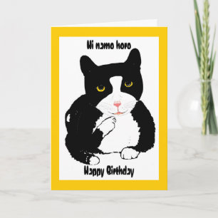 Le chat sur une carte d'anniversaire ajoutent le