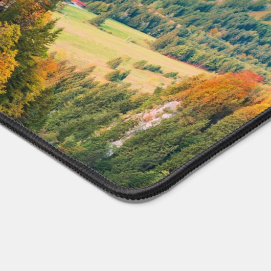 Le château de Neuschwanstein (Coin)