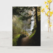 Le chemin à Latourell tombe carte (Fleur jaune)