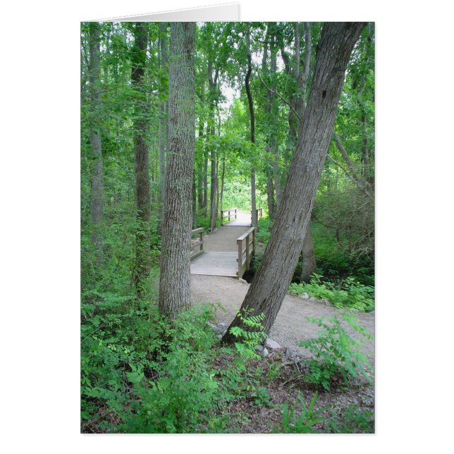 Le Chemin Rarement Parcouru (Devant)