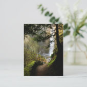 Le chemin vers la carte postale de Latourell Falls (Debout devant)