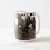 Le cheval aboute la tasse de café (Devant droit)