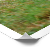 Le Cheval blanc est placé dans le champ Poster (Coin)