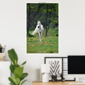 Le Cheval blanc est placé dans le champ Poster (Bureau à domicile)