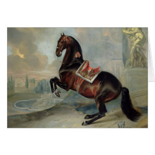 Le cheval de baie foncé 'Valido