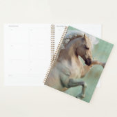 Le Cheval d'Or Stallion - (Devant avec enveloppe)