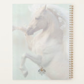 Le Cheval d'Or Stallion - (Dos)