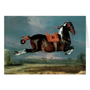 Le cheval pie "Cehero" s'élevant