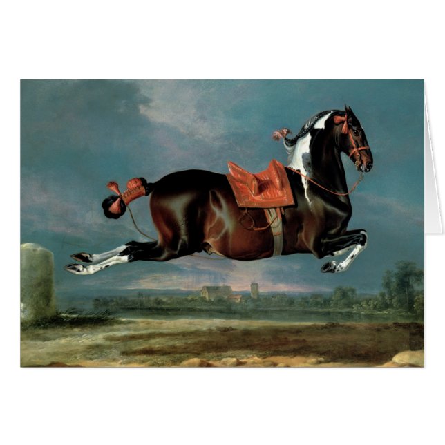 Le cheval pie "Cehero" s'élevant (Devant horizontal)