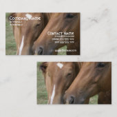 Le cheval poussent du nez le carte de visite (Devant / Derrière)