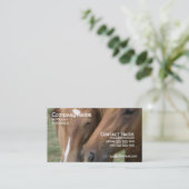 Le cheval poussent du nez le carte de visite (Debout devant)