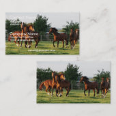 Le cheval sauvage arrondissent le carte de visite (Devant / Derrière)