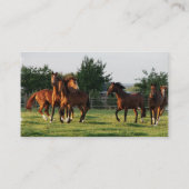 Le cheval sauvage arrondissent le carte de visite (Dos)