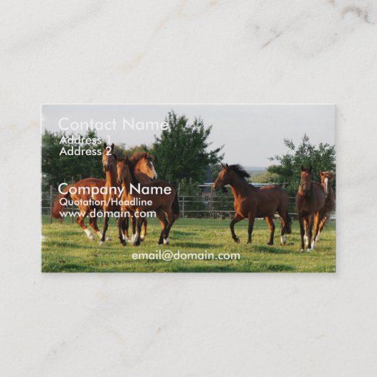 Le cheval sauvage arrondissent le carte de visite (Devant)