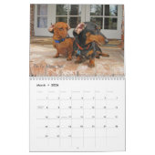 Le chien 2012 de teckel dupe le calendrier (Mar 2026)
