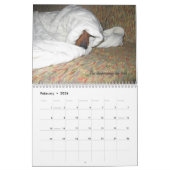 Le chien 2012 de teckel dupe le calendrier (Feb 2026)