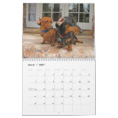 Le chien 2012 de teckel dupe le calendrier (Mar 2027)