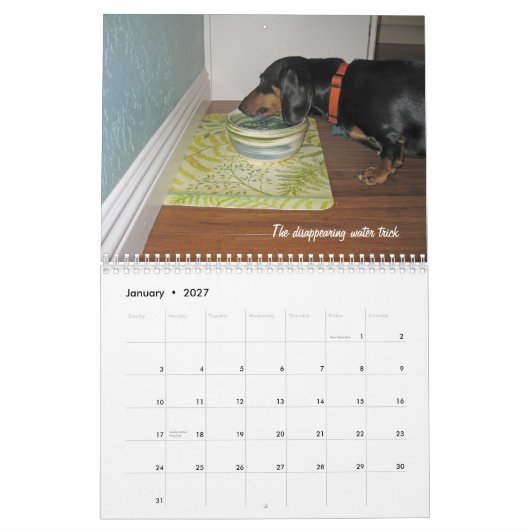 Le chien 2012 de teckel dupe le calendrier (Jan 2027)