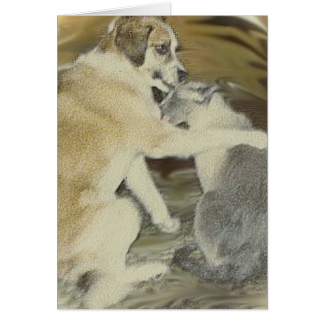 le chien aime le chat (Devant)