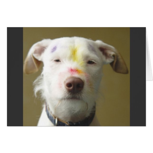 Le chien artistique (Devant horizontal)