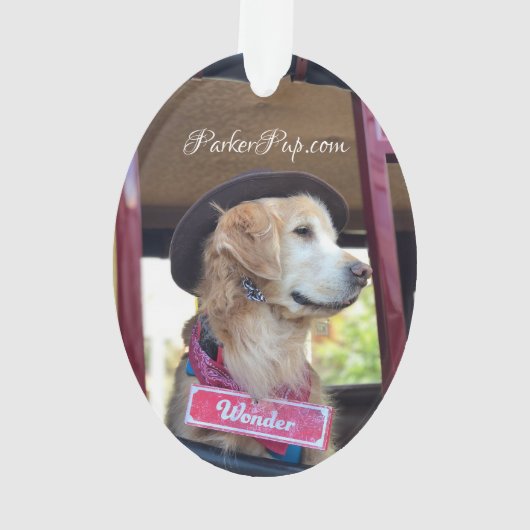 Le chien de Noël - Merveilleuse (dos)