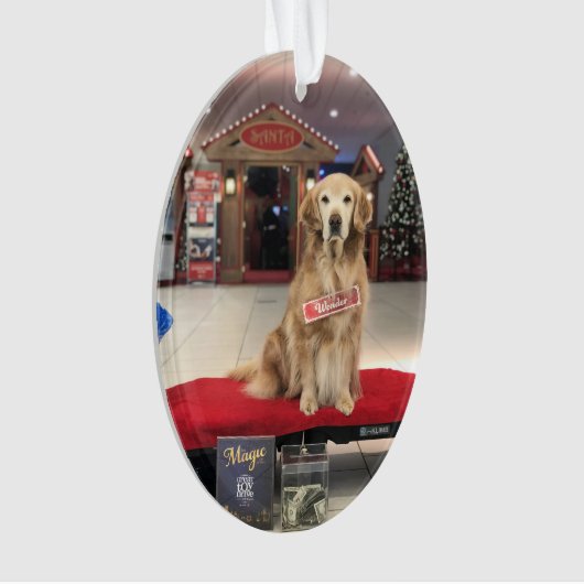 Le chien de Noël - Merveilleuse (devant)