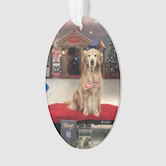 Le chien de Noël - Merveilleuse (devant)