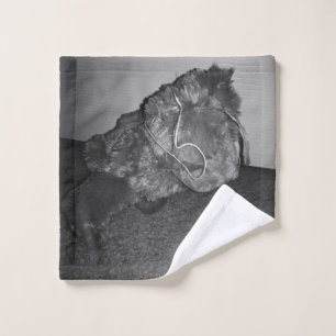 Le chien de Polory (noir et blanc)