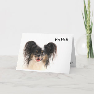 Le chien drôle, ha ha, vous êtes vieille carte